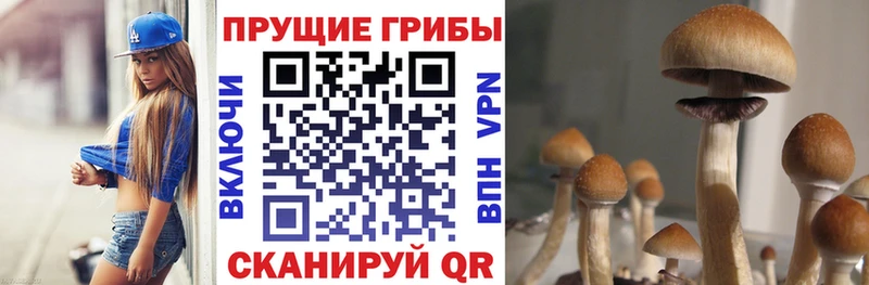 наркота  Безенчук  Галлюциногенные грибы Magic Shrooms 